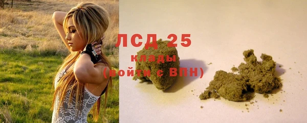 спиды Аркадак
