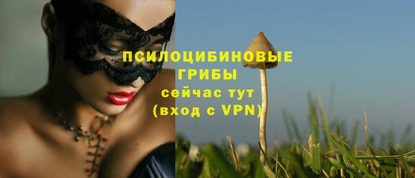 прущий лед Армянск