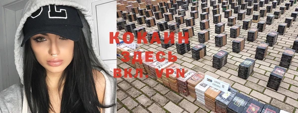 спиды Аркадак