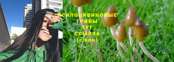 спиды Аркадак