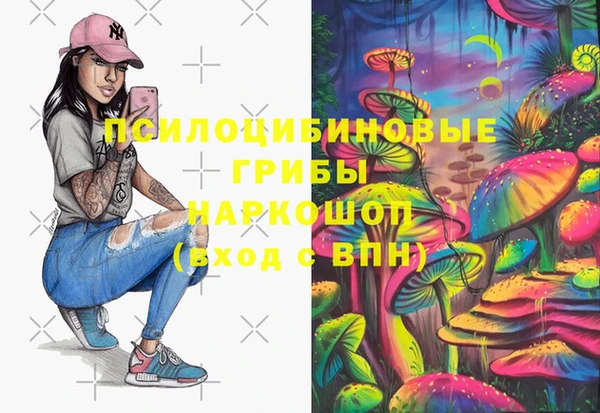спиды Аркадак