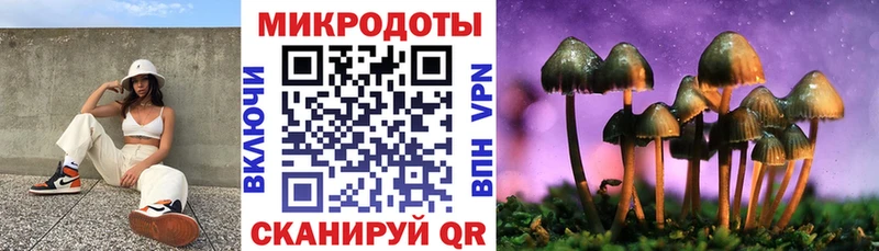 Галлюциногенные грибы Psilocybine cubensis Кодинск