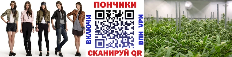 Марихуана ГИДРОПОН  Купить где  Кодинск 